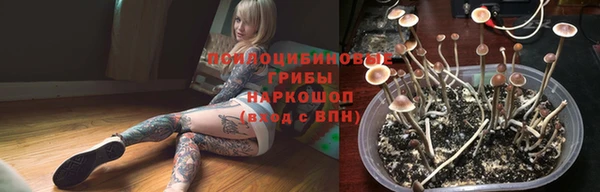 а пвп мука Баксан