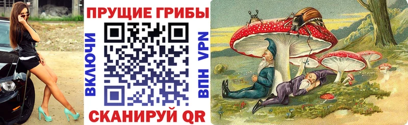 OMG tor  Оленегорск  Галлюциногенные грибы GOLDEN TEACHER  наркошоп 